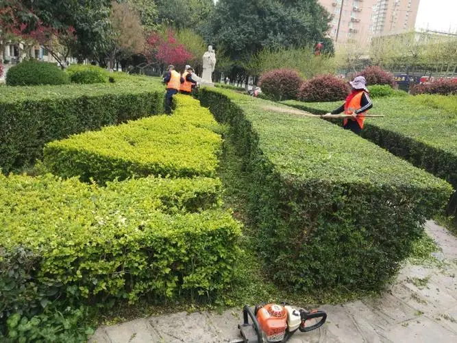 奉贤城市绿化管理处