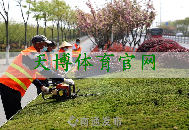 构建宜居环境：园林管理如何提升居民的生活质量？